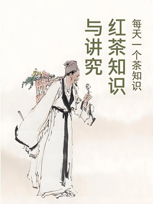 武汉喝茶品茶论坛_武汉品茶论坛_2021武汉品茶导航