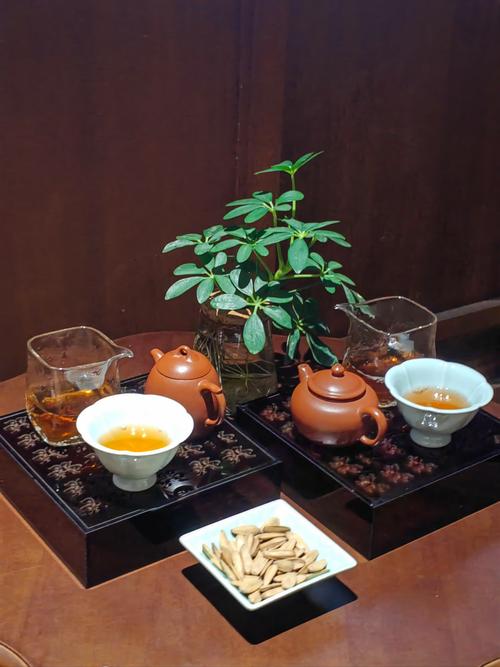 武汉品茶工作室百家号_武汉品茶外卖工作室_武汉品茶